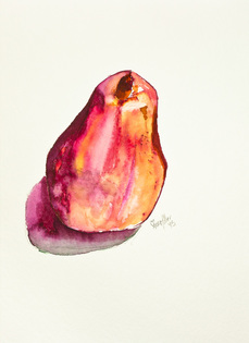 Watercolor and ink illustration of a juicy pear by Central NY artist Abigail Miller